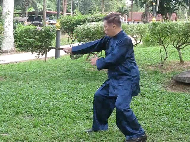 Wu Yu Xiang Style Taijiquan